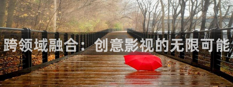 騎士影院在線觀看免費高清電視劇極速：跨領域融合：創意影視的無限可能